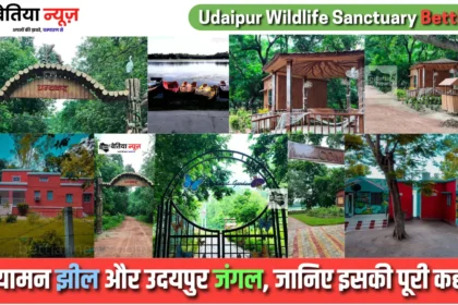 Udaipur Wildlife Sanctuary Bettiah